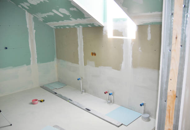 Best Post-Construction Mold Inspection  in Chelsea, MI