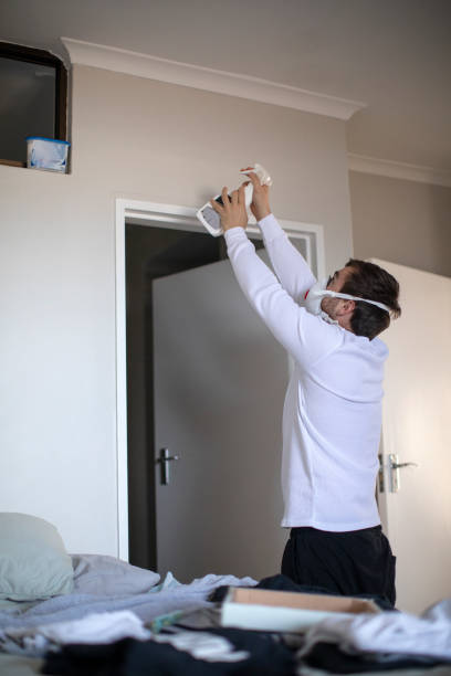 Professional Mold Removal in Chelsea, MI